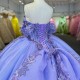 2025 Purple Quinceanera Dress Sweet 15 Evening Dress Crystal Sleeveless Ball Gown Beading Vestido De Nina De Las Flores