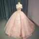 Customized Quinceanera Dresses Plus Size Ball Gown Beaded Back Lace Up Corset Princess Ball Gown Personalised vestido de 15 años
