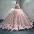 Pink Lace Applique Off The Shoulder Customized Quinceanera Dresses Ball Gown Birthday Lace Up Sweet 15 16 Dress