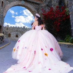 Off The Shoulder Light Pink Ball Gown Quinceanera Dresses Colorful Floral Appliques Lace Tull Corset Vestidos De 15 Anos